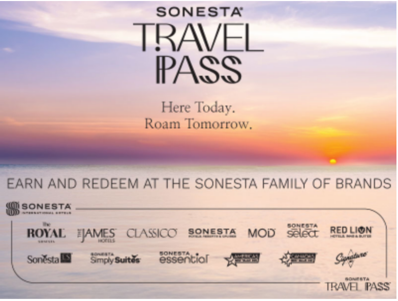 Travel Pass Small Easel - Light (12 Pack)